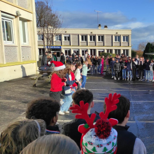 La zumba sous le soleil