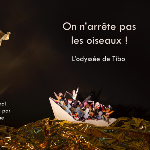 VISUEL On n'arrête pas les oiseaux